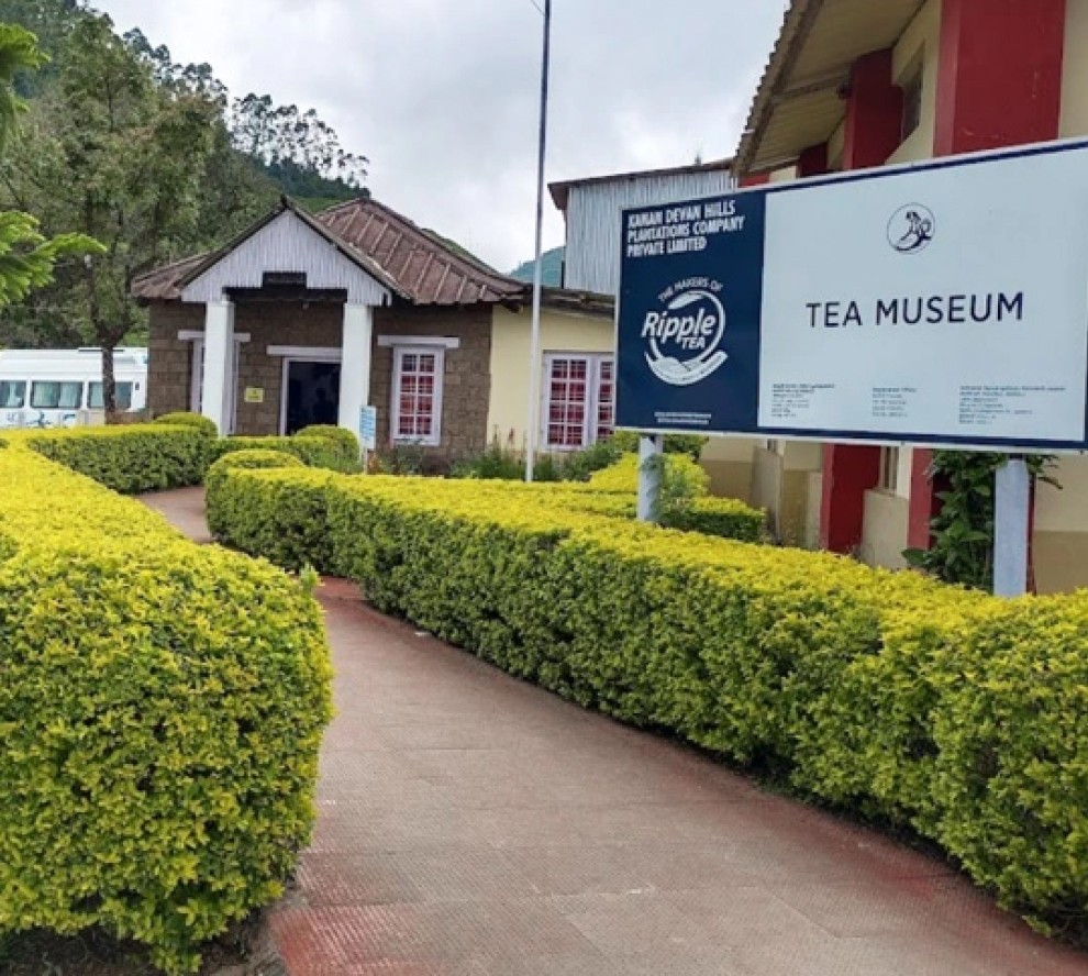 Tea Museum